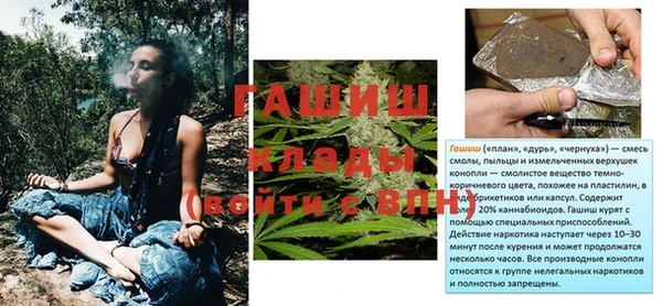 ГАЛЛЮЦИНОГЕННЫЕ ГРИБЫ Горняк
