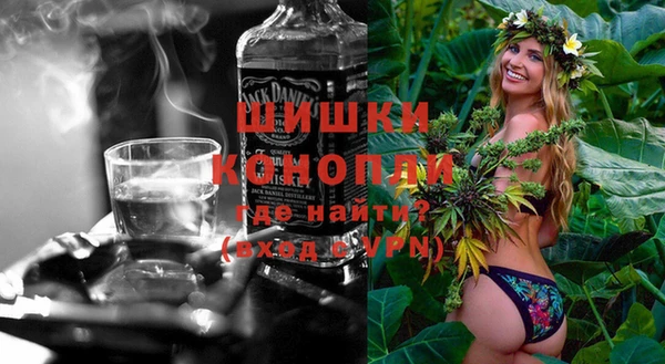 шишки Гусиноозёрск