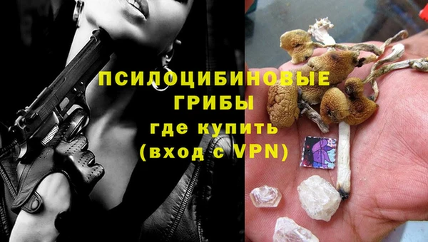 крисы Тавда