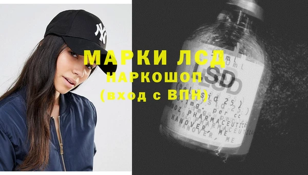 ГАЛЛЮЦИНОГЕННЫЕ ГРИБЫ Горняк