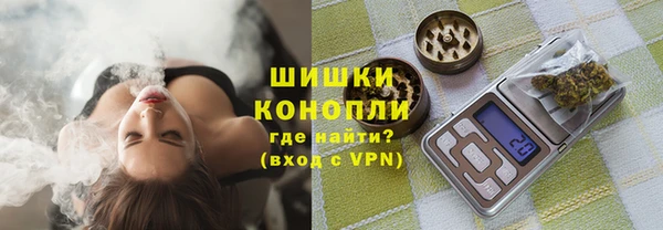 ГАЛЛЮЦИНОГЕННЫЕ ГРИБЫ Горняк