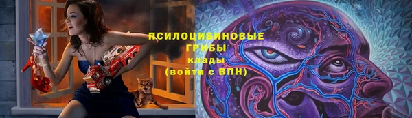 спайс Горнозаводск